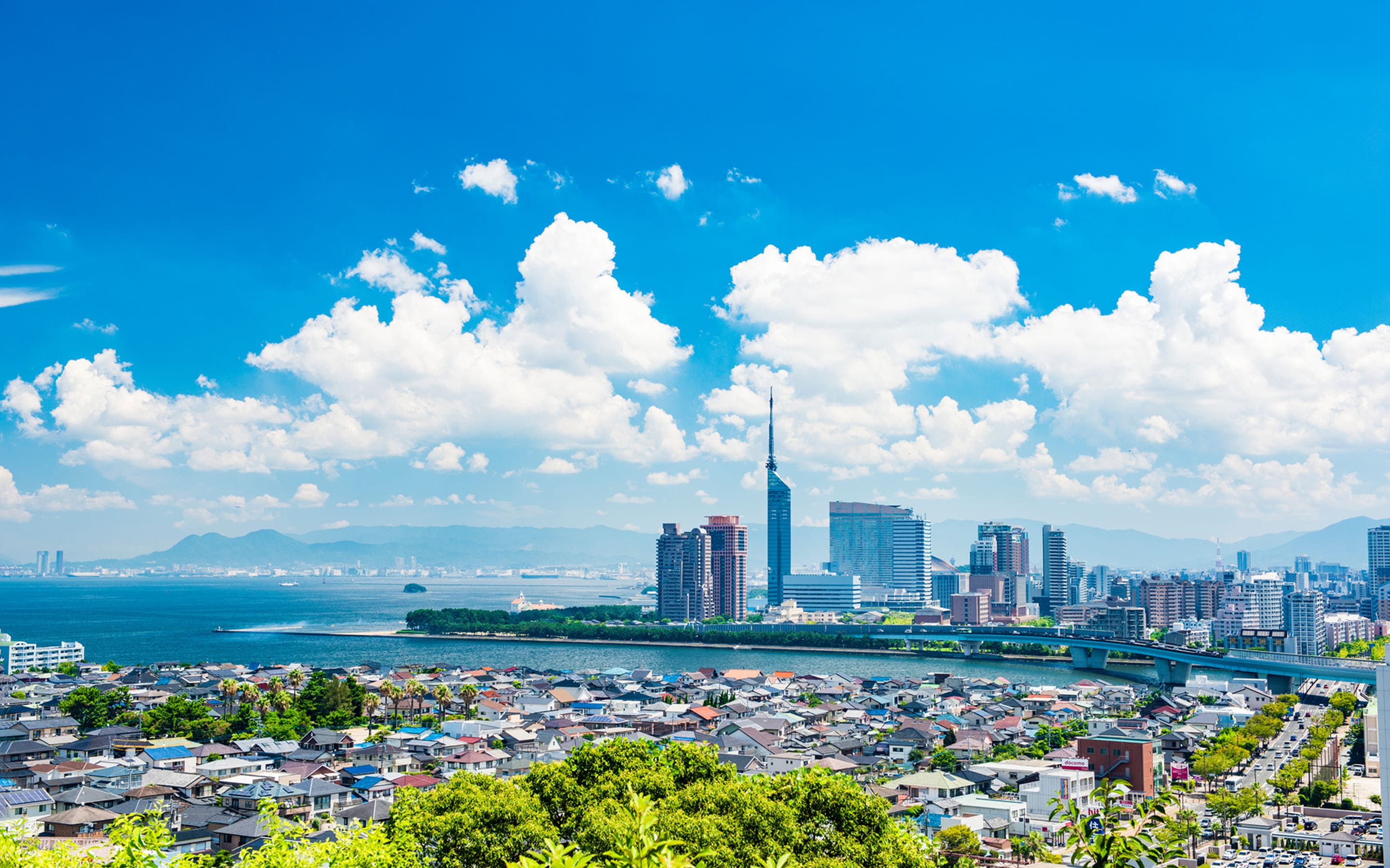 事業案内